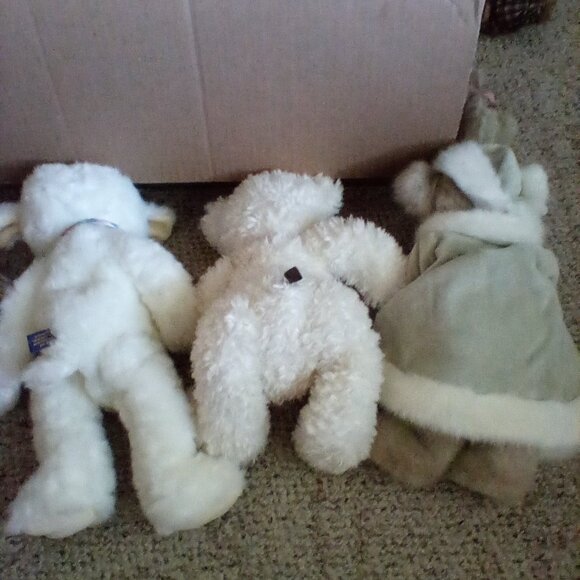 Boyd's bear - Picture 2 of 2